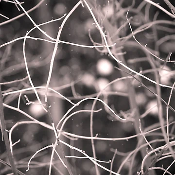 Artwork thumbnail, Winter In Abstract by Johnny Joo