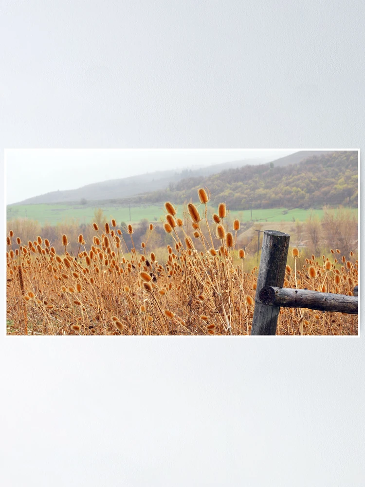 Thumbnail 1 of 3, Poster, Spring Is In The Air designed and sold by Superflypapi.