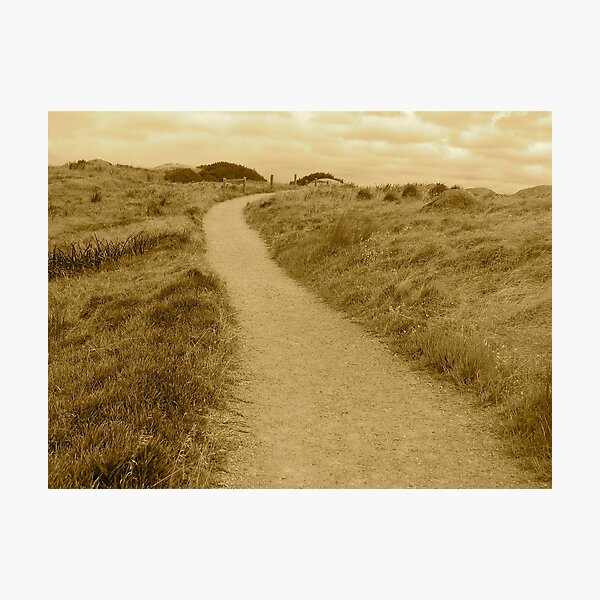 Item preview, Walk through the fields designed and sold by browna.