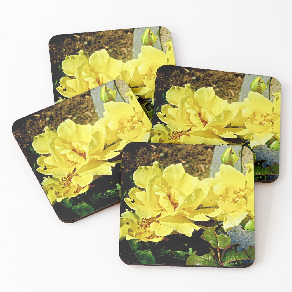 Item preview, Coasters (Set of 4) designed and sold by Shulie1.