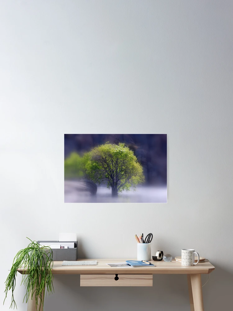 Thumbnail 2 of 3, Poster, Tree In Water designed and sold by Superflypapi.