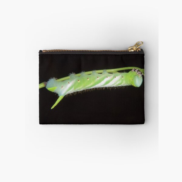 Item preview, Caterpillar in the Peruvian rainforest designed and sold by Erik Schlogl.