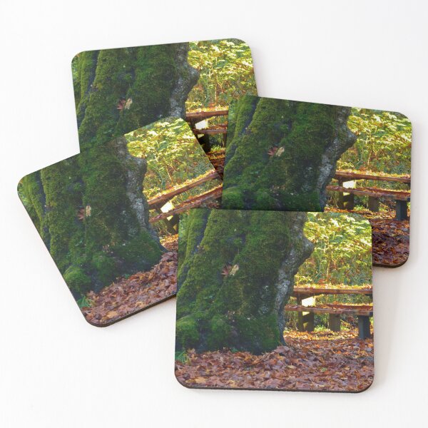 Item preview, GIGANTIC TREE DWARFS A NORMAL SIZE PICNICK BENCH! designed and sold by Elaine Bawden.