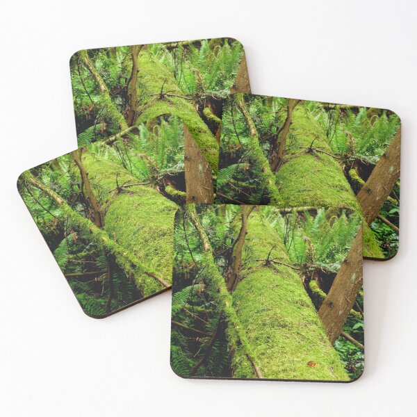 Item preview, Moss Covered Trees Lying On The Forest Floor    designed and sold by Elaine Bawden.