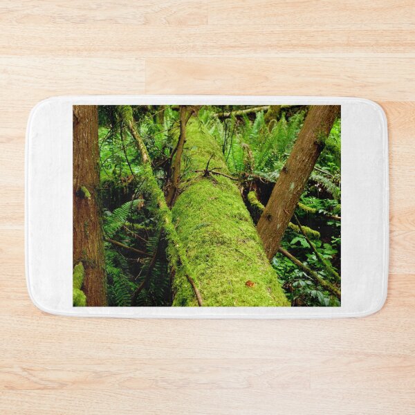 Item preview, Moss Covered Trees Lying On The Forest Floor    designed and sold by Elaine Bawden.