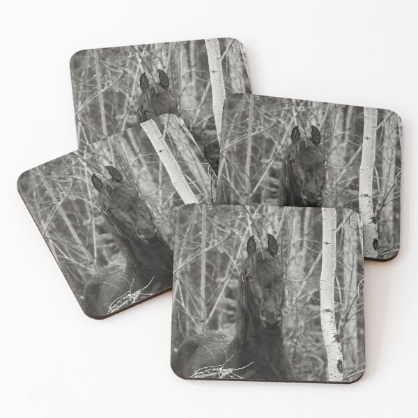 Item preview, Black Beauty designed and sold by Dale Adams.