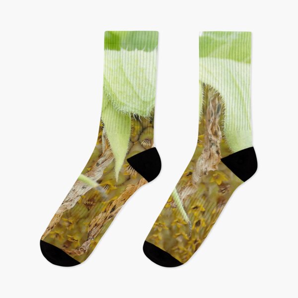 Item preview, Sunflower Abstract designed and sold by Allen Penton.