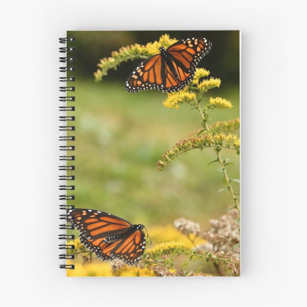 Item preview, October fest _ Monarchs & Goldenrod! designed and sold by Poete100.