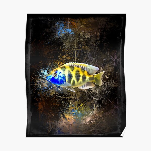 Giraffe Hap African Cichlid Abstract Portrait Poster
