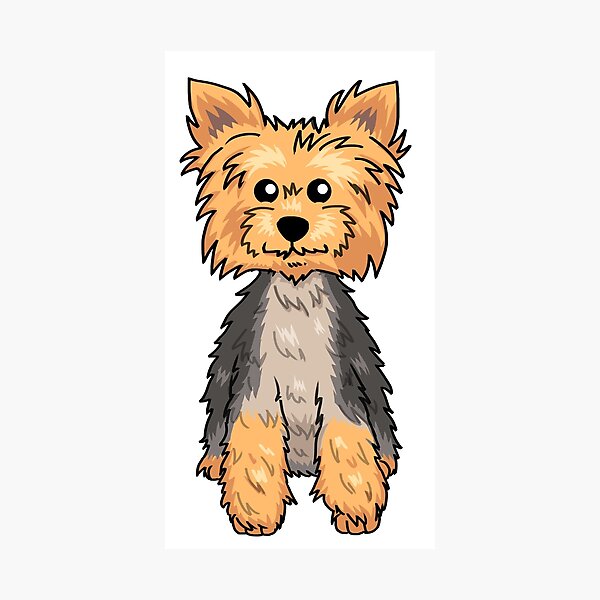 Puppy Cut Photographic Prints Redbubble