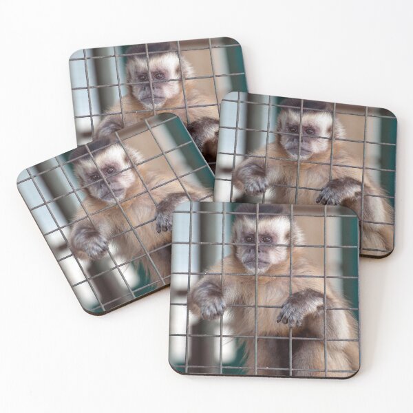 Item preview, Monkey in captivity. designed and sold by FER737NG.