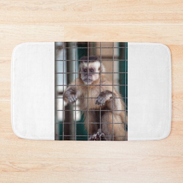 Item preview, Monkey in captivity. designed and sold by FER737NG.