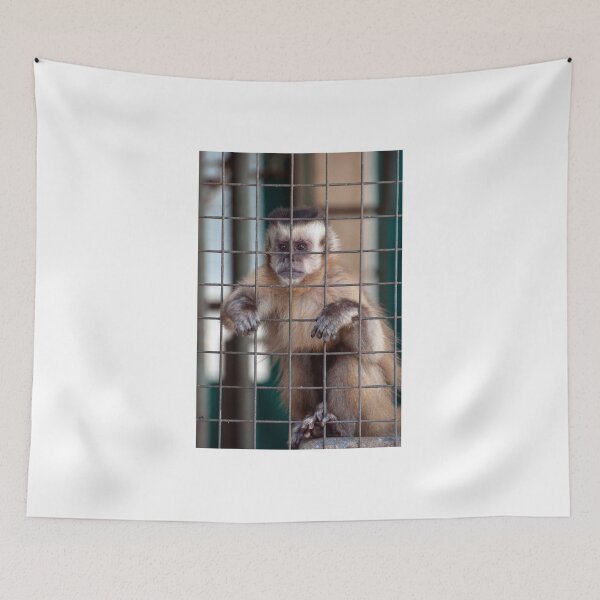 Item preview, Monkey in captivity. designed and sold by FER737NG.