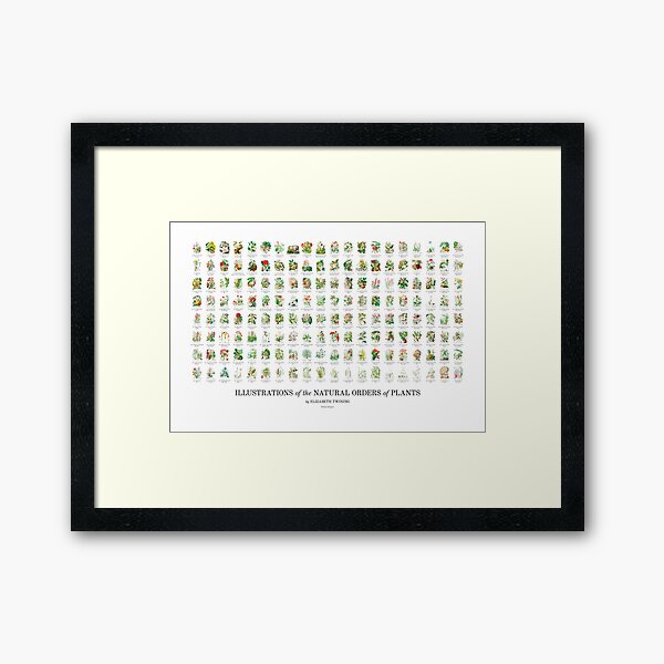 Elizabeth Twining - All 160 Illustrations Framed Art Print
