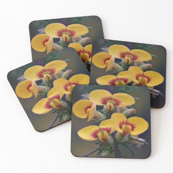 Item preview, Early Morning Dillwynia tenuifolia designed and sold by ausnative.