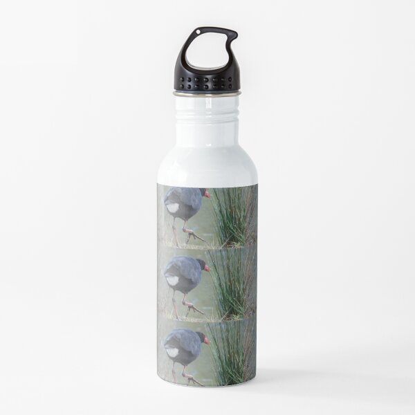 Moorhen by Avril Thomas Water Bottle