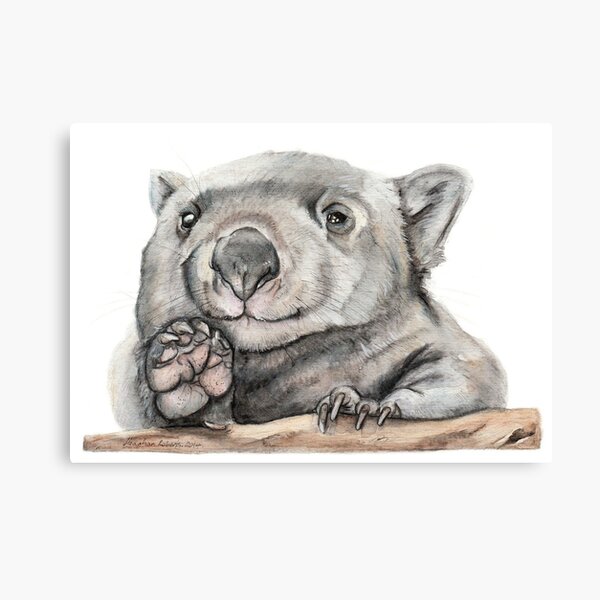 Lucy the Wombat Canvas Print