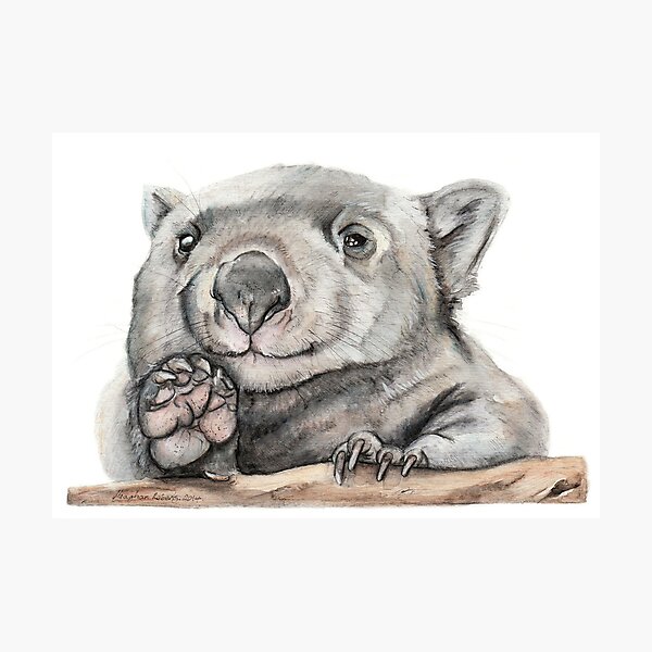 Item preview, Lucy the Wombat designed and sold by Meaghan Roberts.
