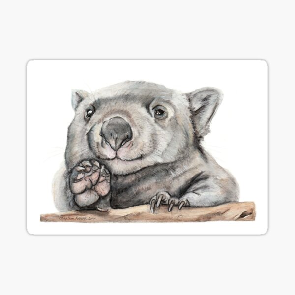 Item preview, Lucy the Wombat designed and sold by Meaghan Roberts.