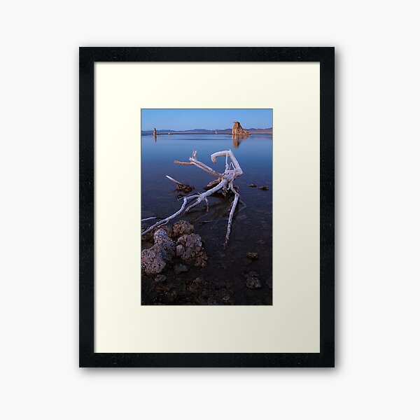 Vista previa del artículo con la obra «Mono Lake Deadwood», diseñado y vendido por Anne McKinnell.