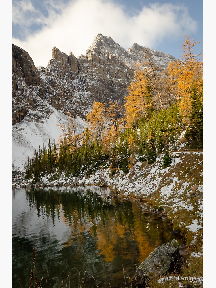 "Fall colors in Canadian Rockies" Sticker for Sale by Evolga Redbubble