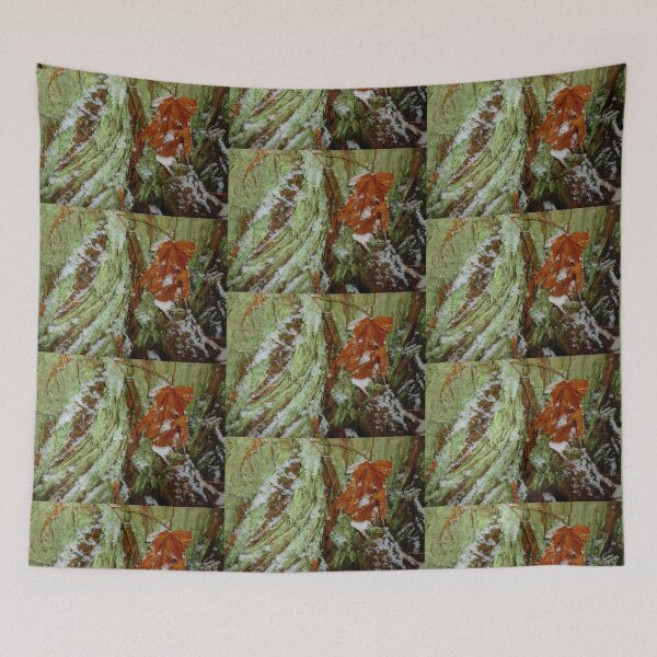 Item preview, Snow In The Rainforest designed and sold by Elaine Bawden.