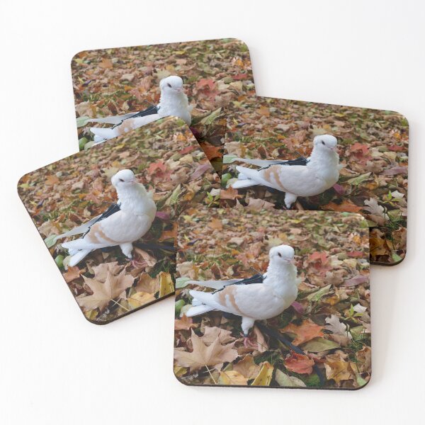 Item preview, Rosie the pigeon playing in the leaves  designed and sold by Rosiethepigeon.