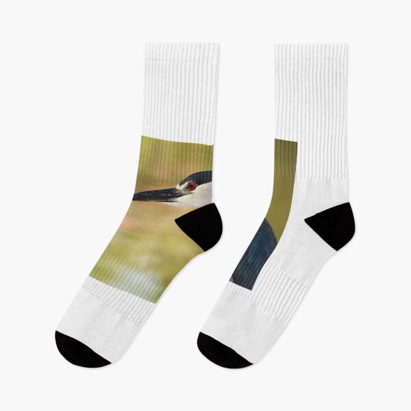 Item preview, Black Crowned Night Heron. designed and sold by FER737NG.