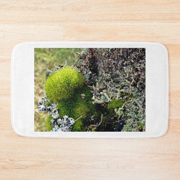 Item preview, A MINIATURE WORLD OF MOSS AND LICHEN! designed and sold by Elaine Bawden.