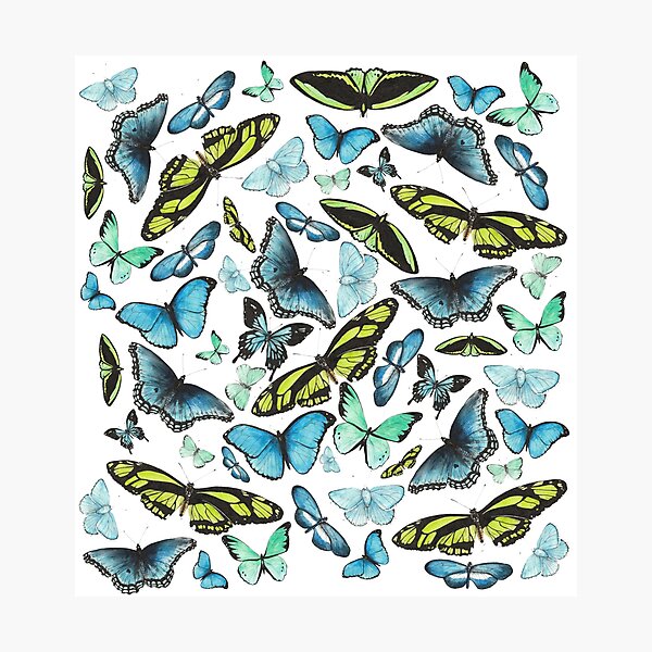 Artikelvorschau, Schmetterlings-Collage entworfen und verkauft von Meaghan Roberts.