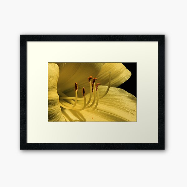 Item preview, Yellow Stamens designed and sold by Gary Horner.