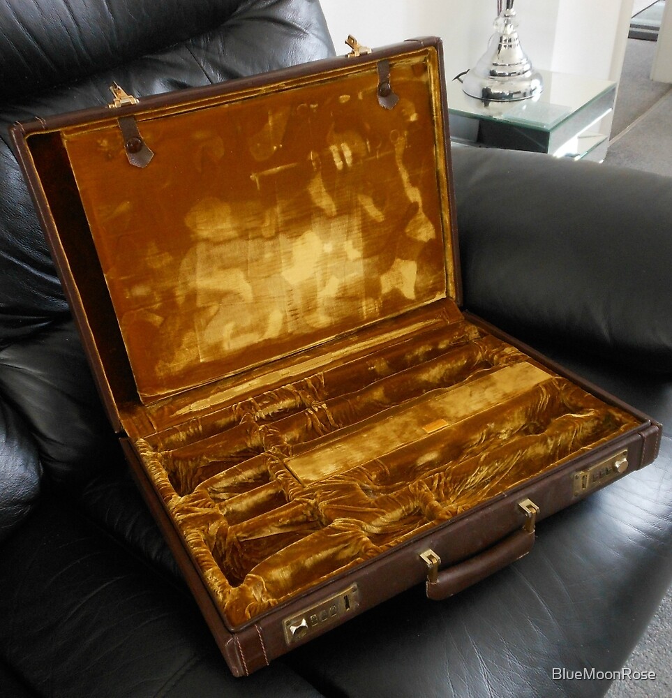 "Vintage Case" by BlueMoonRose Redbubble