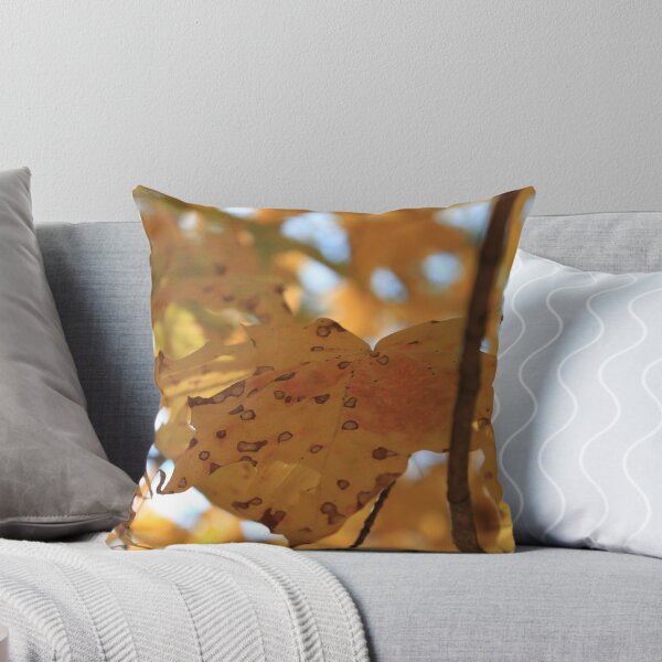 Aperçu de l'œuvre Colors of Fall créée et vendue par KHartmann.