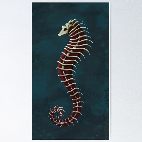 Item preview, Skeleton Seahorse designed and sold by jelli-designs.