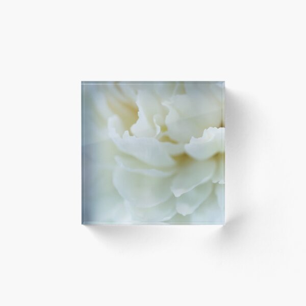 Aperçu de l'œuvre Pivoine Blanche Macro N ° 9885 créée et vendue par Sherry Hallemeier.