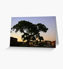 suburbian gum tree Greeting Card