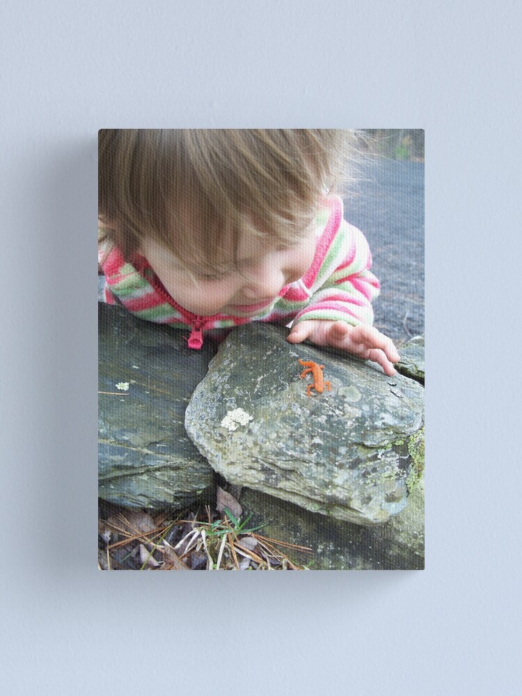 Thumbnail 1 of 3, Canvas Print, Discovery designed and sold by sillyfrog.