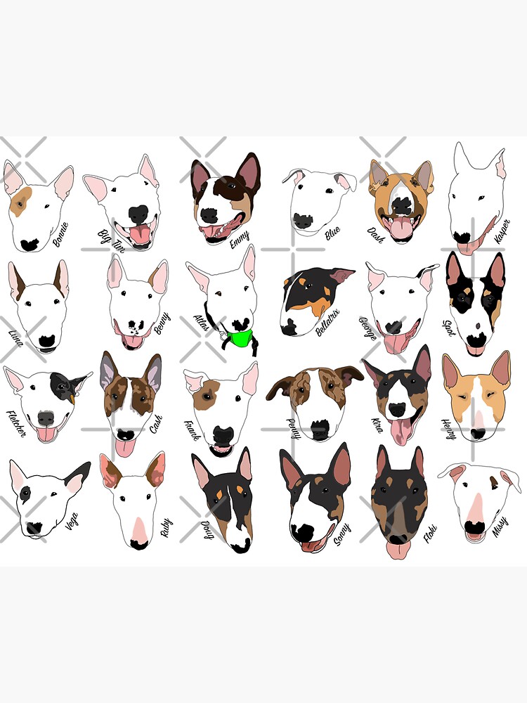 Glasgow Bull Terrier Club by emilydevineart