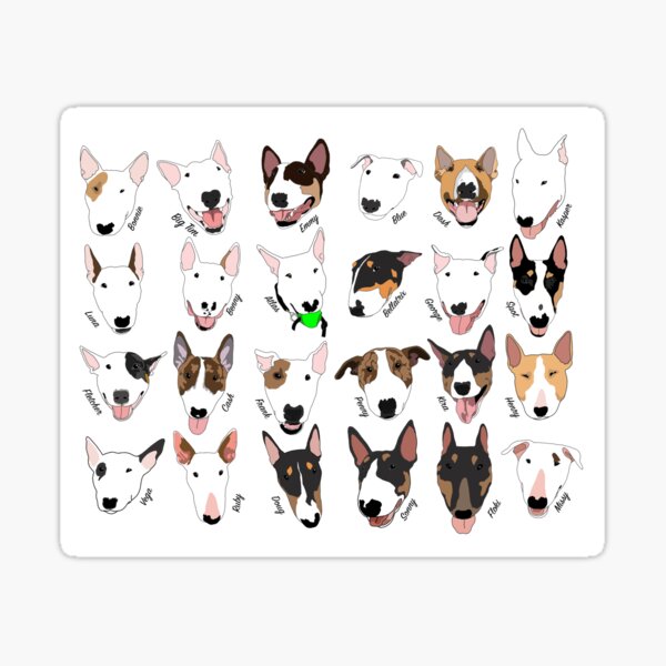 Glasgow Bull Terrier Club Sticker