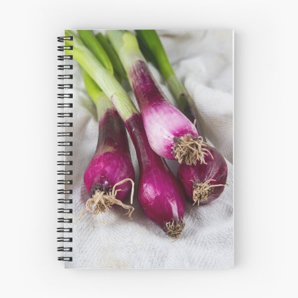 Item preview, Allum Purple and green salad spring onions, scallions designed and sold by Andy Chisholm.