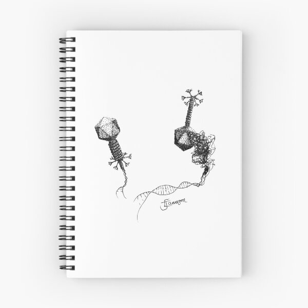 Item preview, Frail phages designed and sold by Jellie.