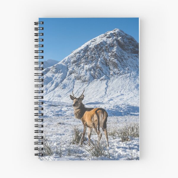 Item preview, Scottish Stag designed and sold by Jay Mayne.