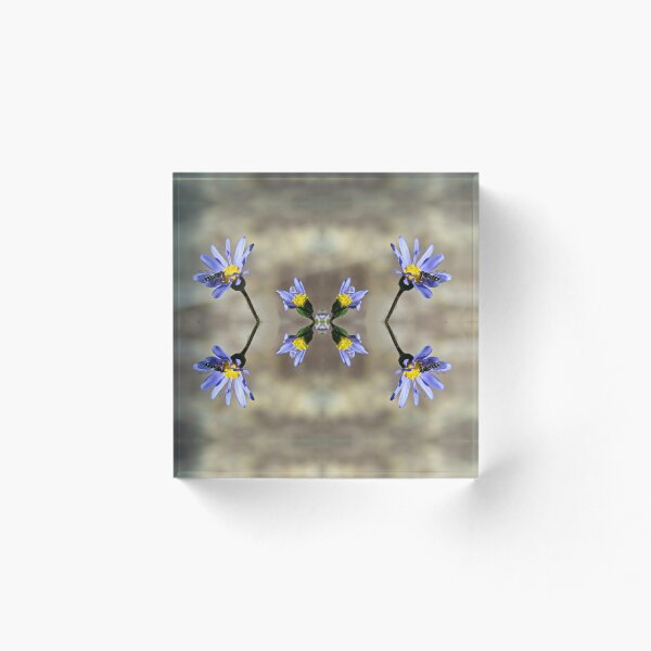 Item preview, Hoverfly on Kingfisher Daisy designed and sold by BiodiversityRocks.