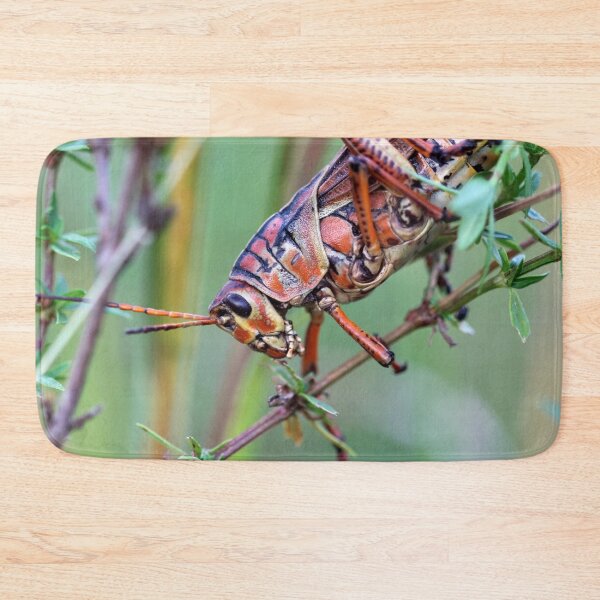 Item preview, Eastern Lubber Grasshopper designed and sold by cuprum.