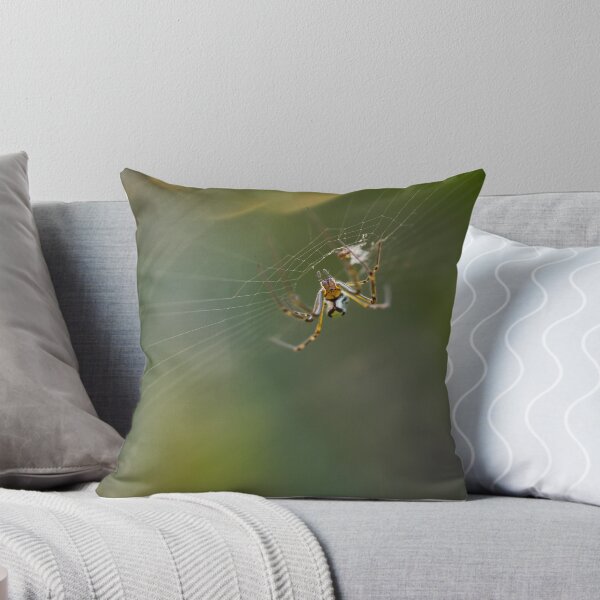 Item preview, Spider and it's Web designed and sold by Danielle Espin.