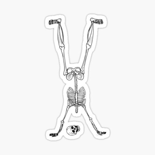 Phalanx Stand - Halloween Party Skeleton Sticker