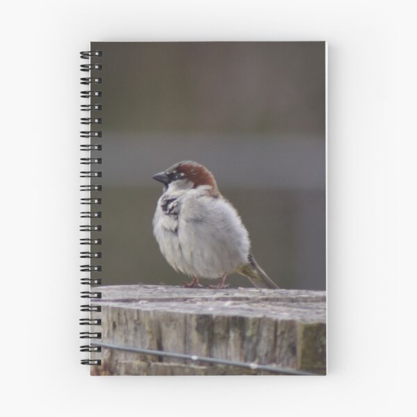 Item preview, Sparrow on post designed and sold by Caroline Everett.