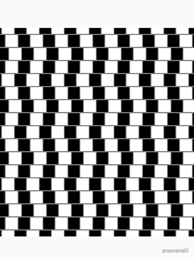Visual Illusion #VisualIllusion Optical #OpticalIllusion #percept #reality by znamenski