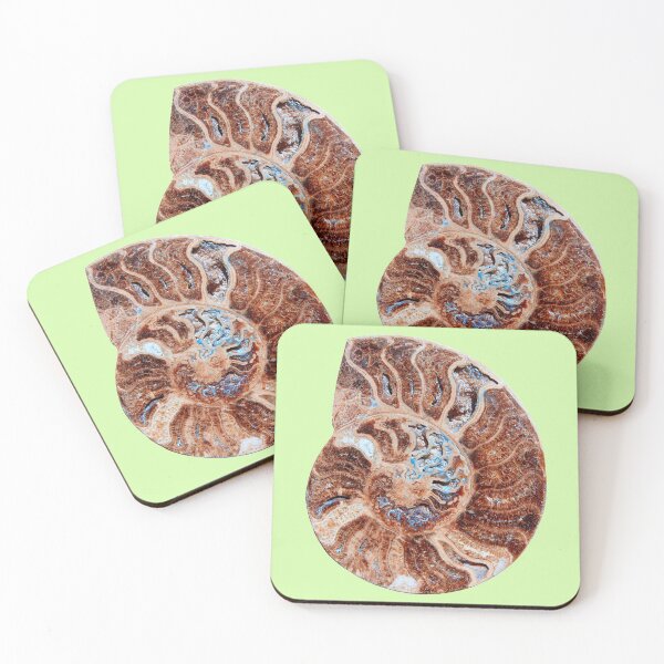 Item preview, Ammonites fossil snail designed and sold by Lefteris Betsis.