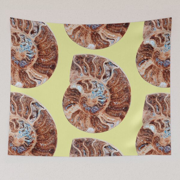Item preview, Ammonites fossil snail designed and sold by Lefteris Betsis.